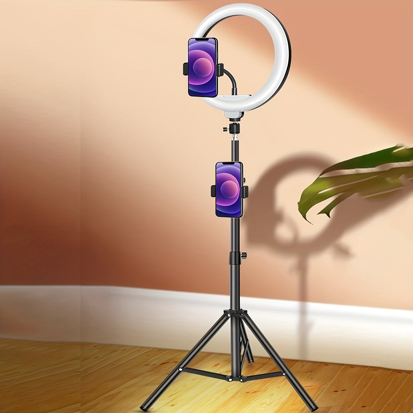 10-Inch LED Ring Light with Adjustable Tripod & Phone Holder